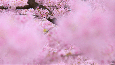΢��ͼƬ_20230320201824.gif