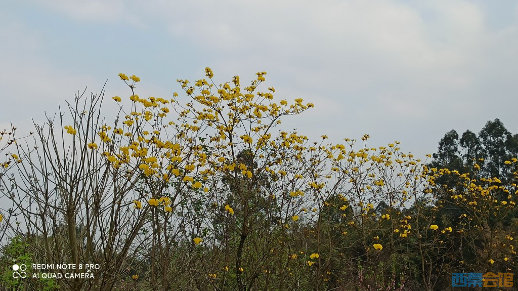 conew_1679396418462.jpg