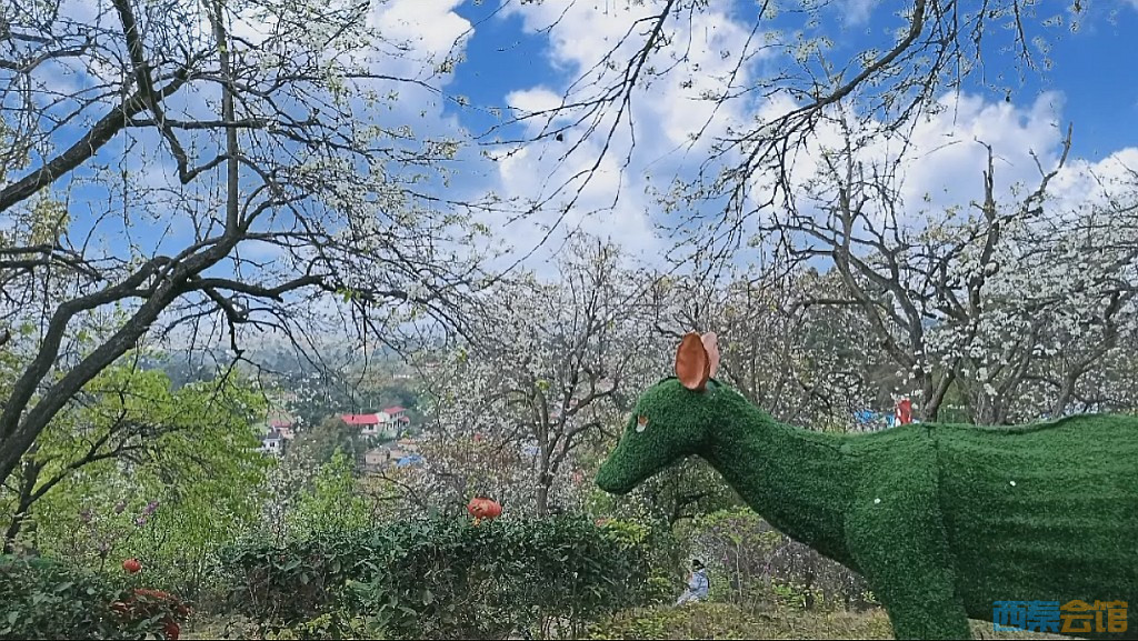 conew_qq��ͼ20230322123552.jpg