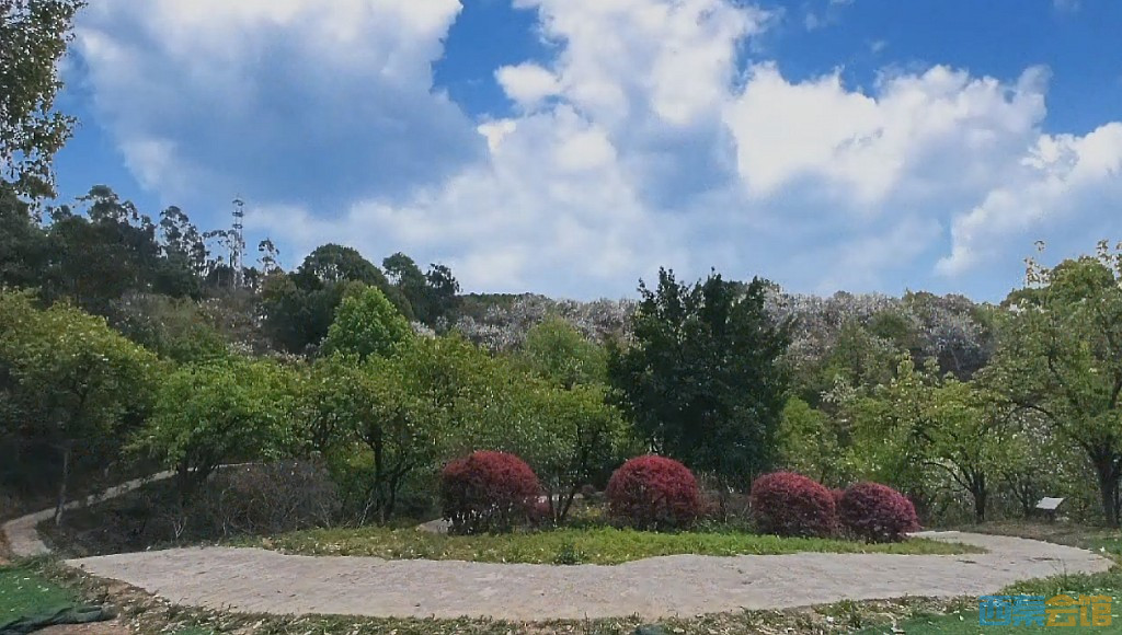 conew_qq��ͼ20230322124935.jpg