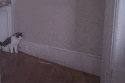201550m7z60zonnh7hhe7x.gif