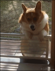 20230325094749front2_0_332895_Fik5rrUV6TNdVoXXMZUJW0vQUvnO.gif