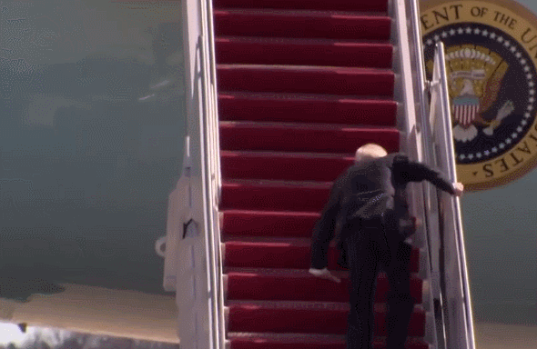 adf8-8b3c0623b79449af2b18dbcd1c683376.gif