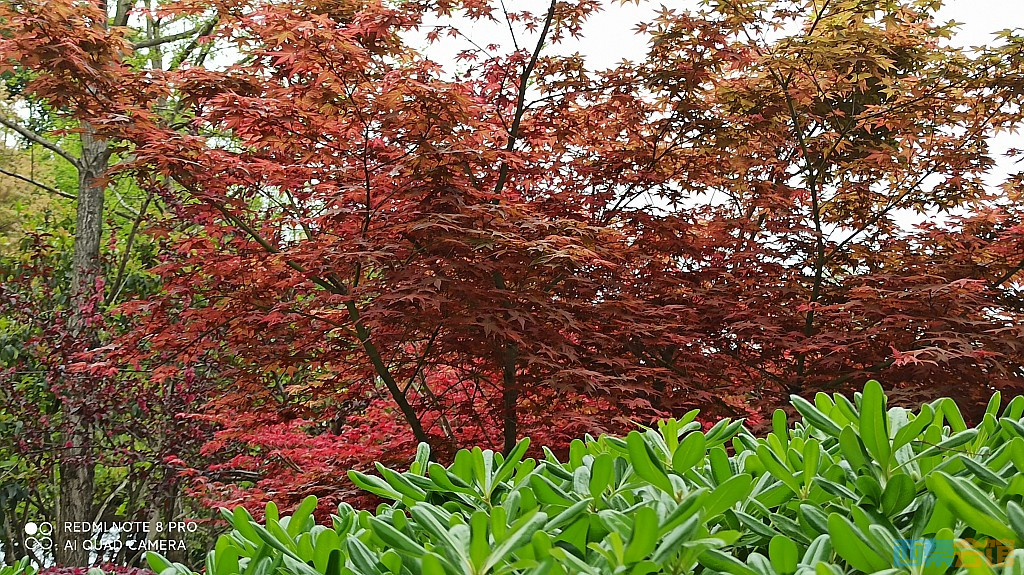 conew_1679979127390.jpg