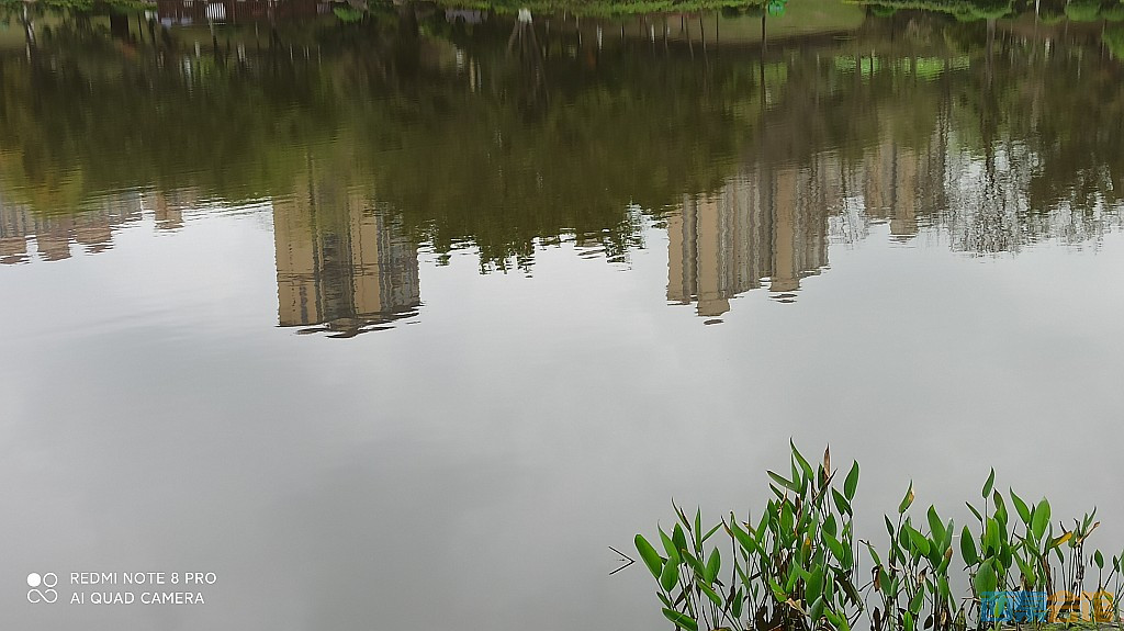 conew_1679979127869.jpg