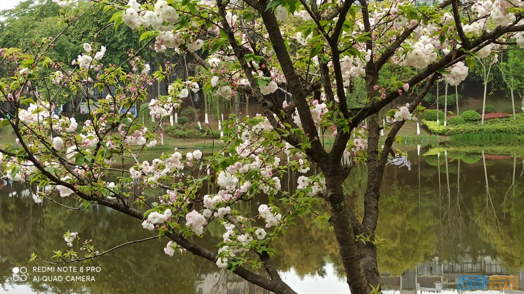 conew_1679979127450.jpg