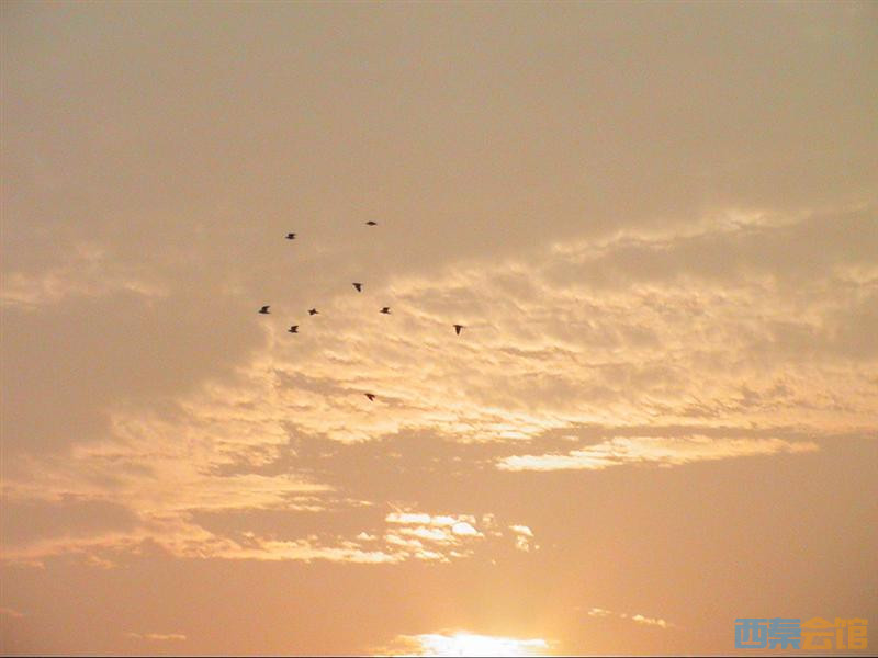 PIC_0040 (��).JPG