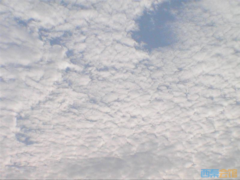 PIC_0046 (��).JPG