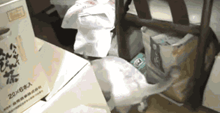 20230402102853front2_0_332895_Fq7CJ-_G5sKWVzkmwxKZ0U44DF7_.gif