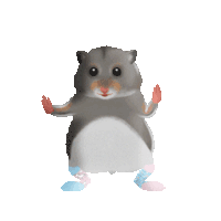 20230403112734front2_0_1568827_FmNvPxMiNokS4GY2jr2lDJepOppa.gif