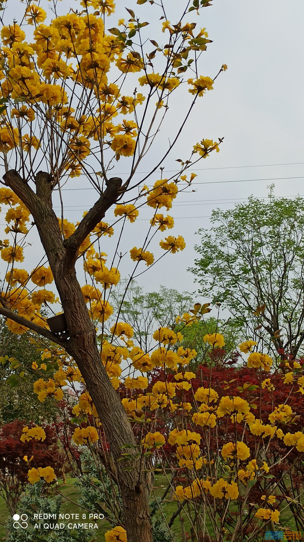 conew_1680432910694.jpg