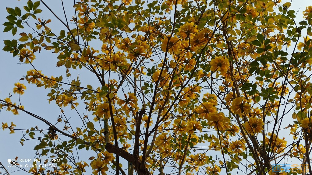 conew_1680432910982.jpg