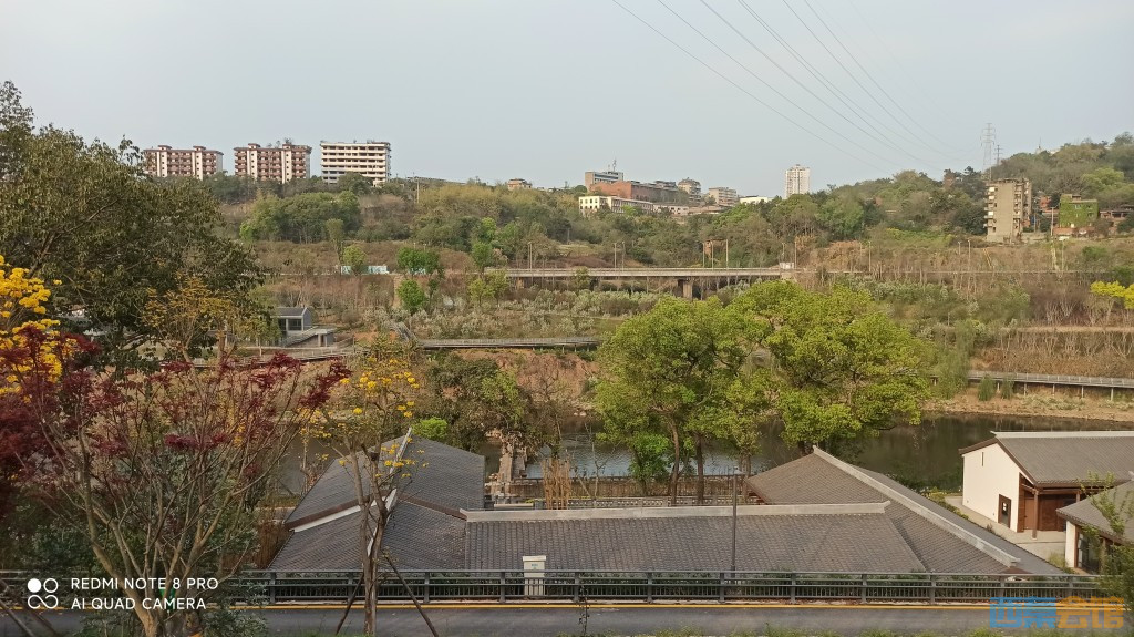 conew_1680432910649.jpg