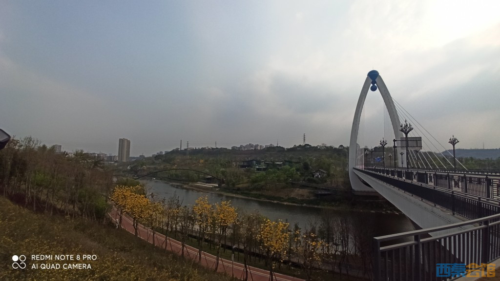 conew_1680432910835.jpg