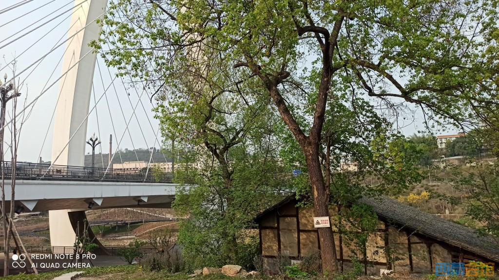 conew_1680432910746.jpg