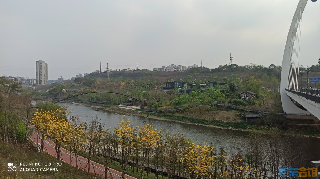 conew_1680432910825.jpg