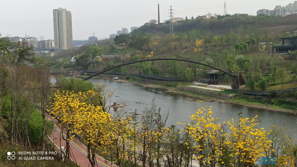 conew_1680432910802.jpg