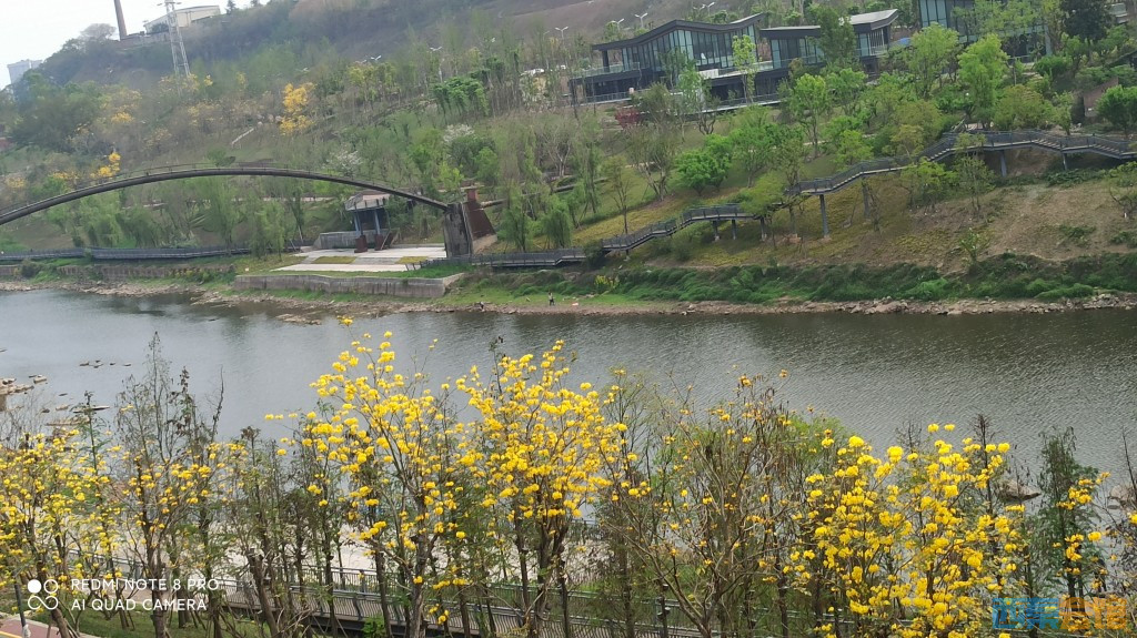 conew_1680432910814.jpg