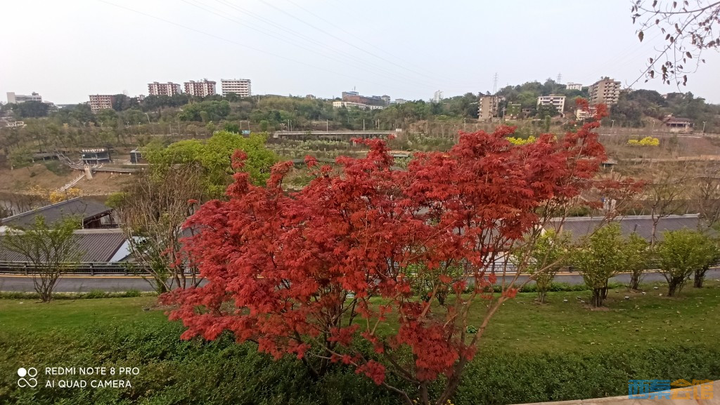 conew_1680432910540.jpg