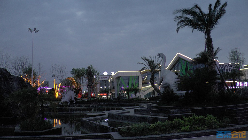 conew_s1570985.jpg