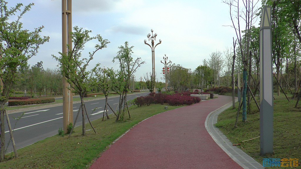 conew_s1570869.jpg