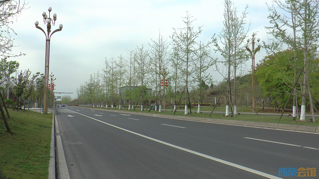 conew_s1570870.jpg