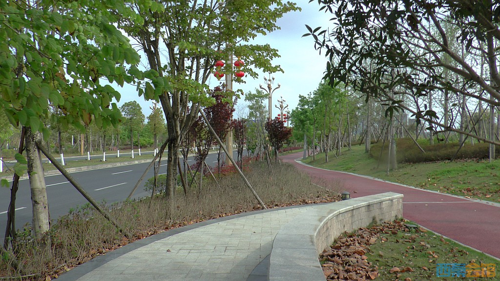 conew_s1570871.jpg