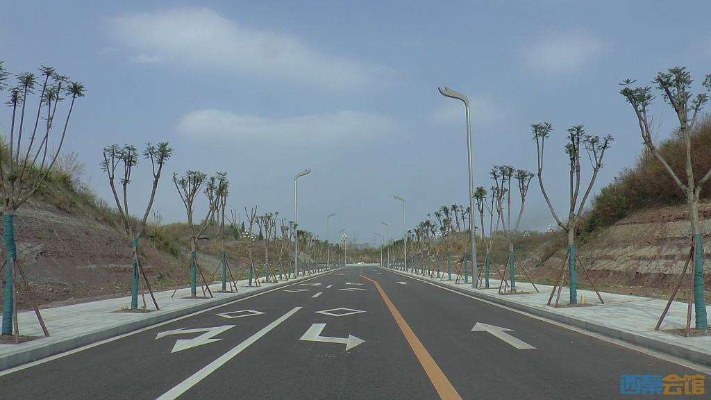 conew_s1570856.jpg