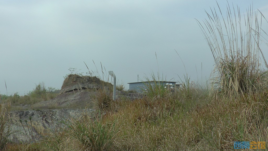 conew_s1570861.jpg