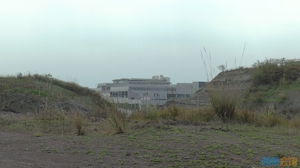 conew_s1570867.jpg