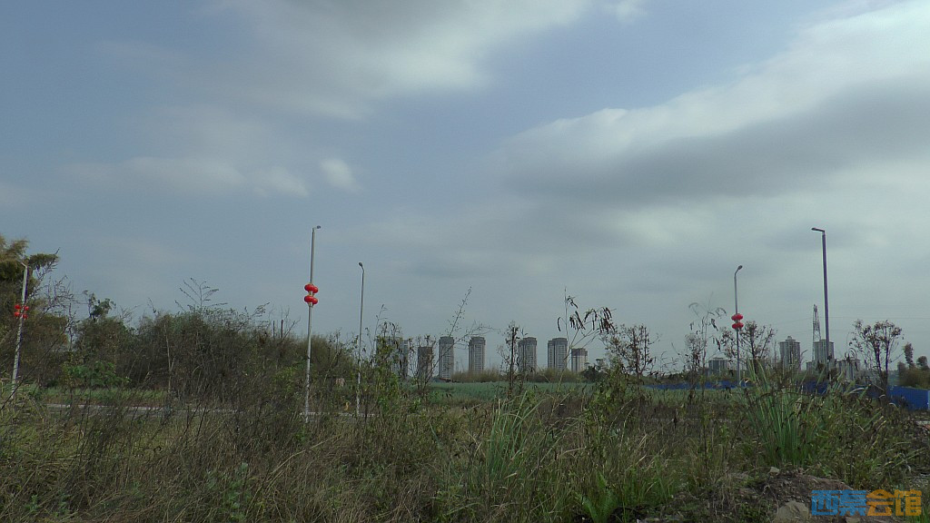 conew_s1570876.jpg