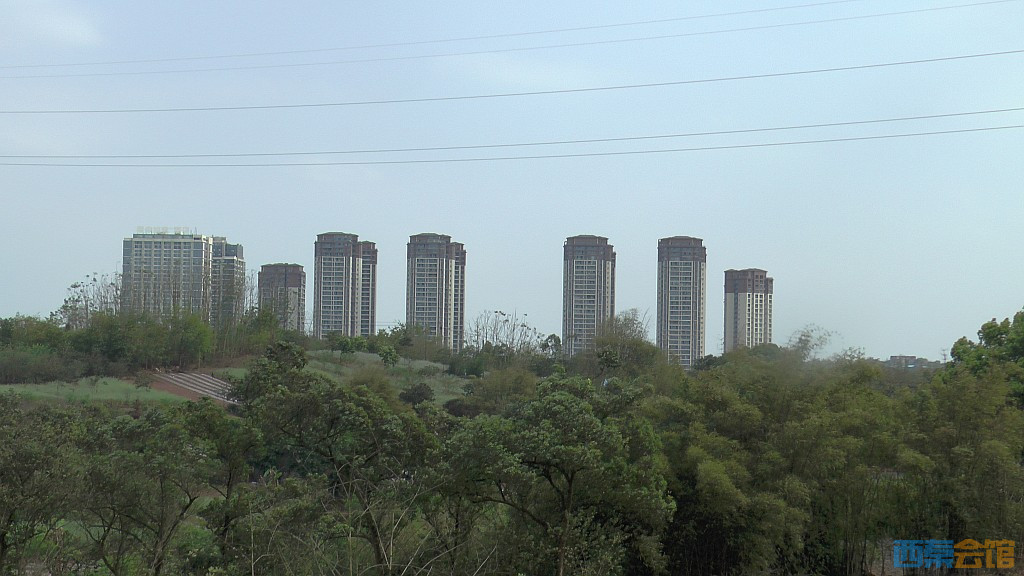 conew_s1570893.jpg