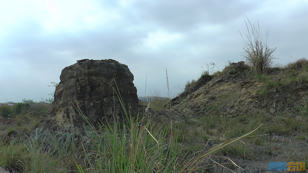 conew_s1570879.jpg