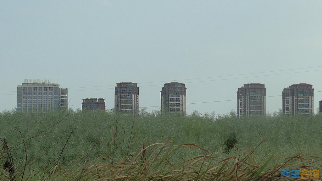conew_s1570902.jpg