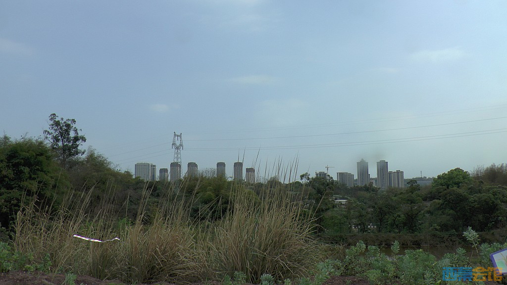 conew_s1570896.jpg