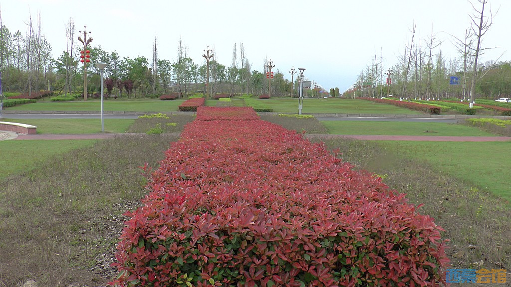 conew_s1570916.jpg