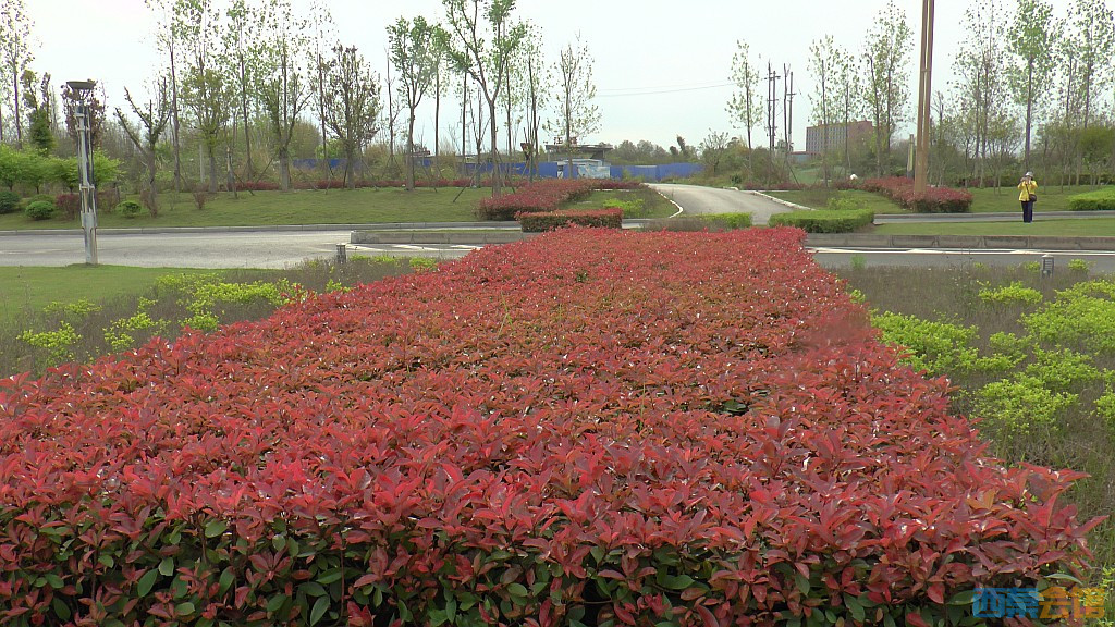 conew_s1570911.jpg