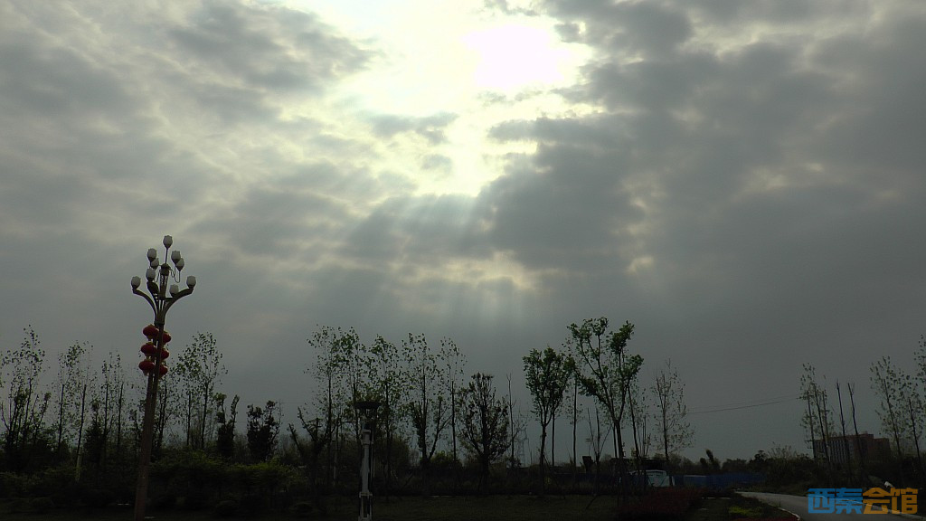 conew_s1570913.jpg