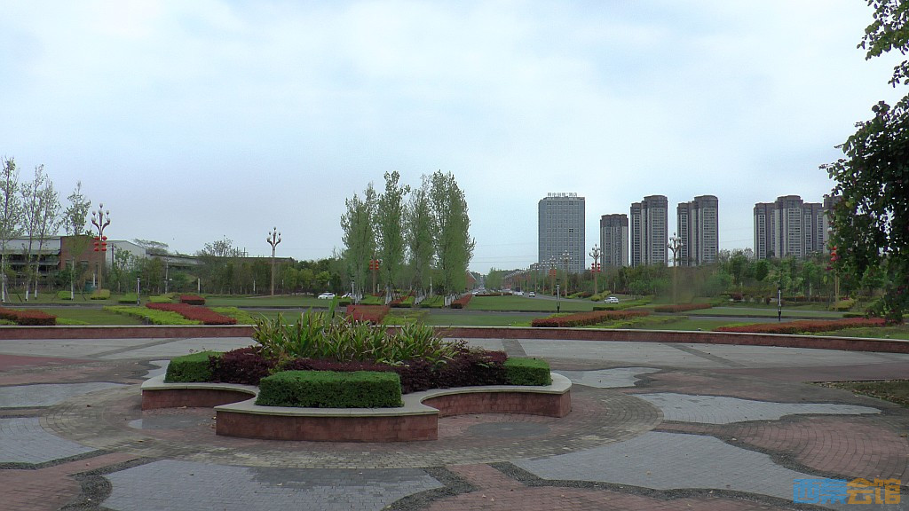 conew_s1570932.jpg