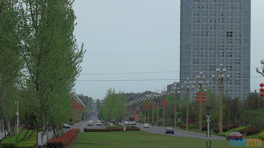 conew_s1570933.jpg