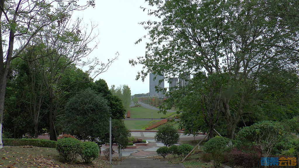 conew_s1570930.jpg