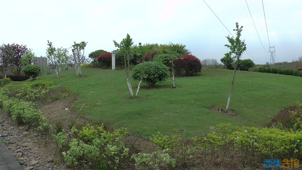 conew_s1570926.jpg