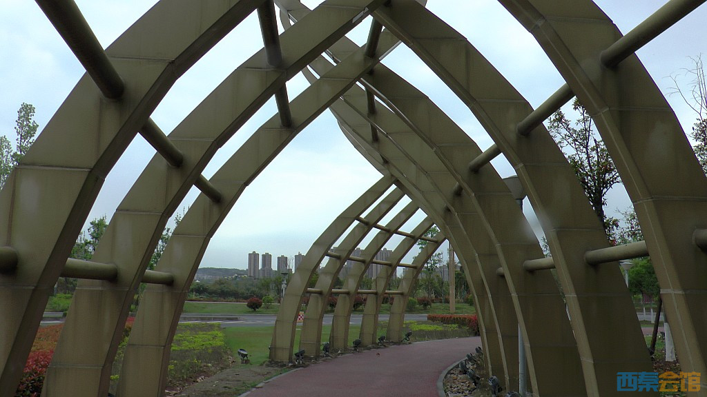 conew_s1570938.jpg