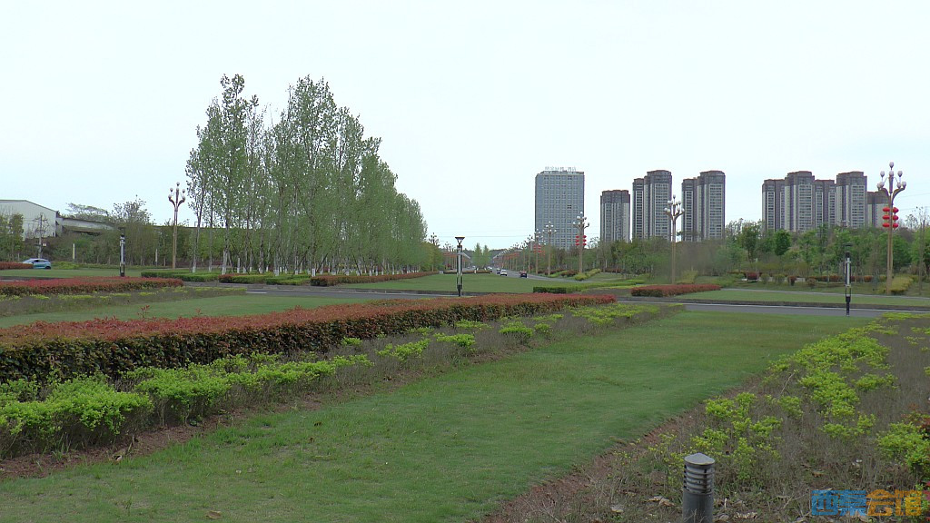 conew_s1570936.jpg