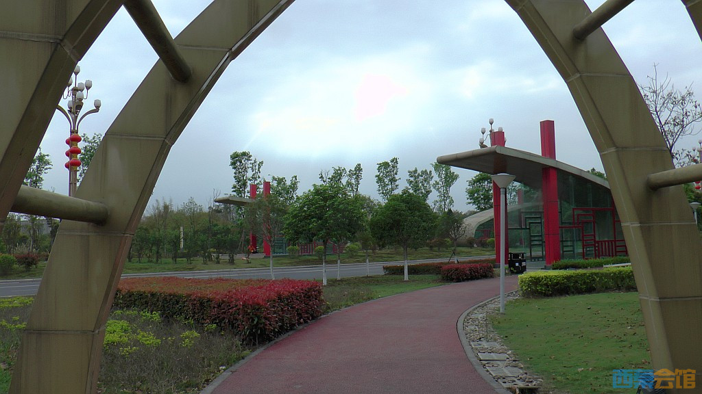 conew_s1570939.jpg