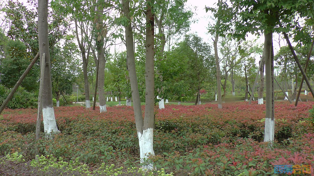 conew_s1570921.jpg