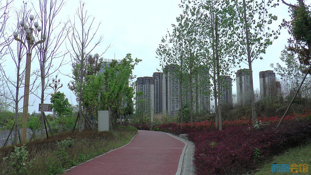 conew_s1570951.jpg