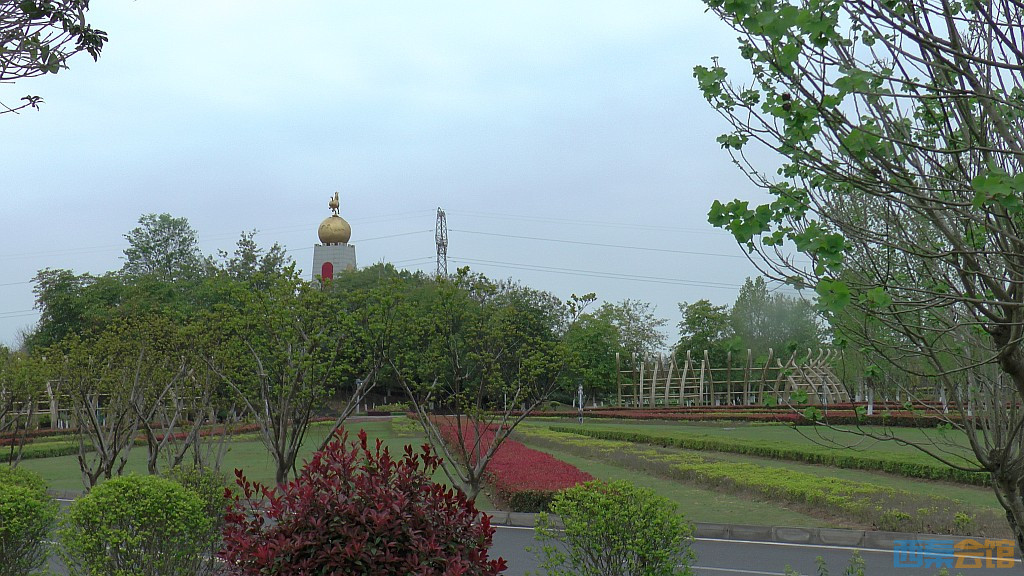 conew_s1570947.jpg