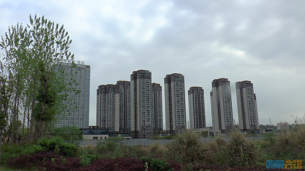 conew_s1570954.jpg