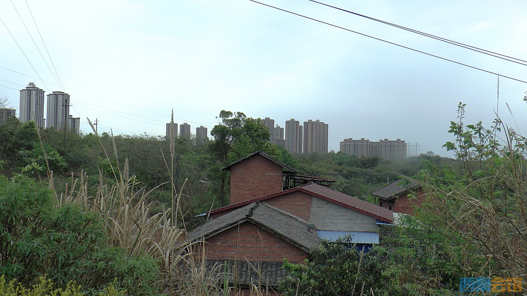 conew_s1570946.jpg